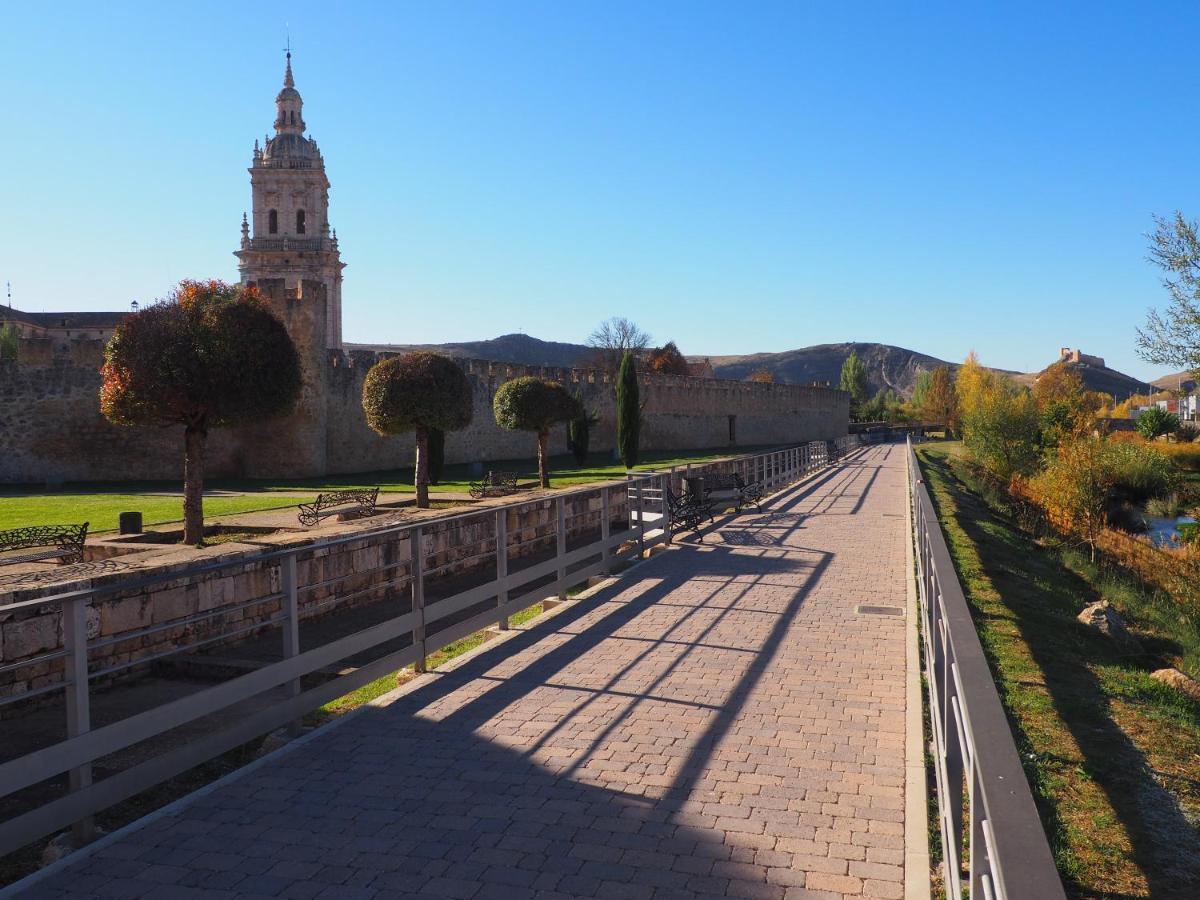 La Casona Del Zoilo -Los Arenales- El Burgo De Osma Dış mekan fotoğraf
